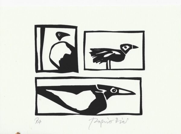 Gravura Serigrafia